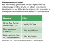 Overzichtstabel management en ammoniakreducctie